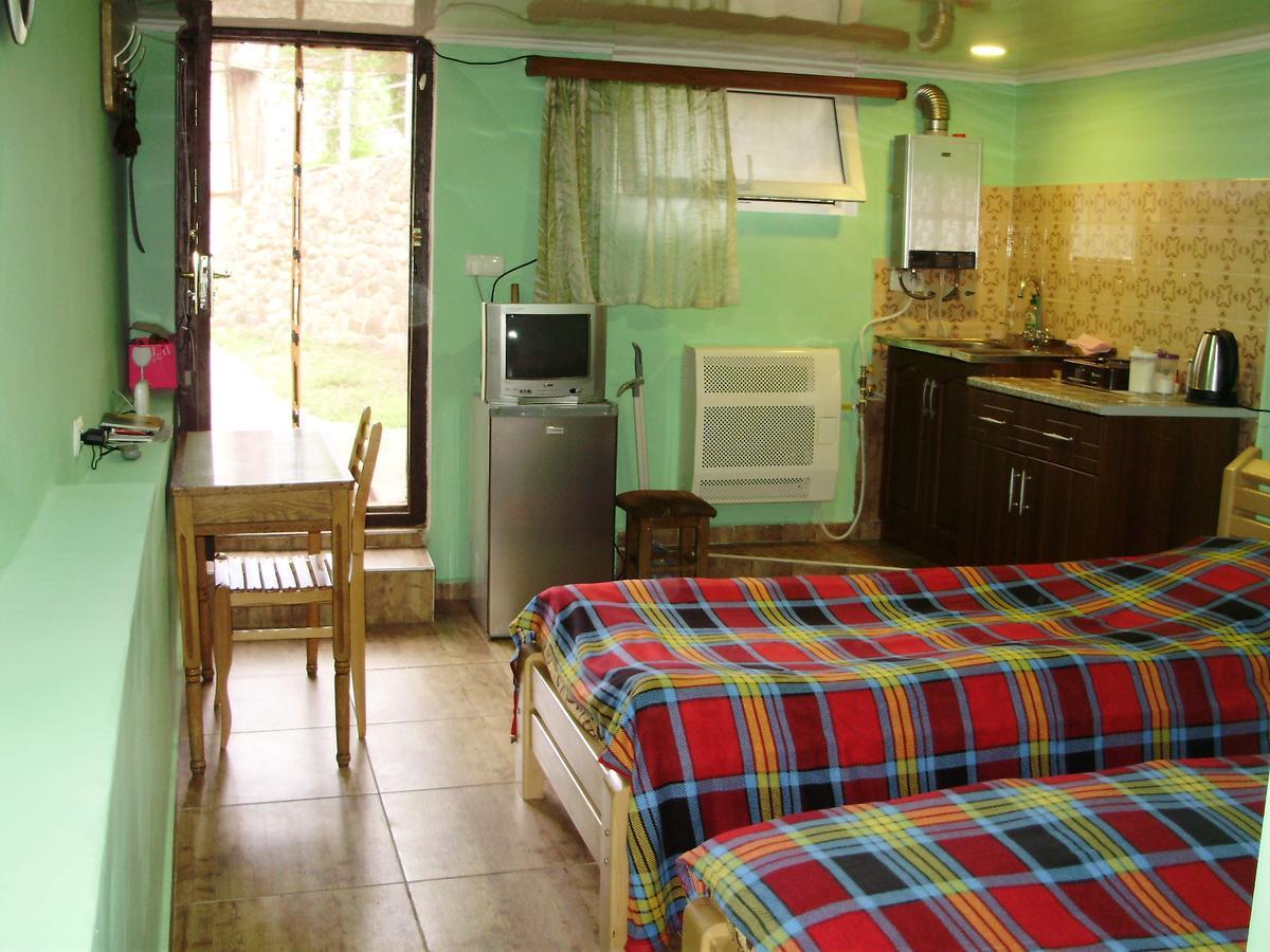 Apartment On Erekle 25A Borjomi Esterno foto