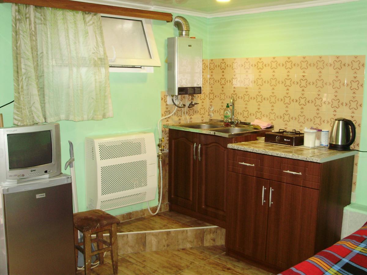 Apartment On Erekle 25A Borjomi Esterno foto